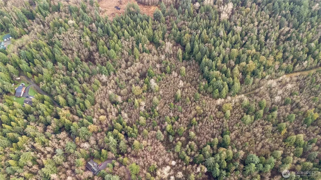2031 Camber Lane Blaine WA 98230