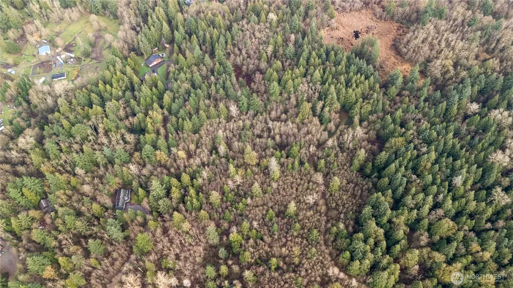 2031 Camber Lane Blaine WA 98230