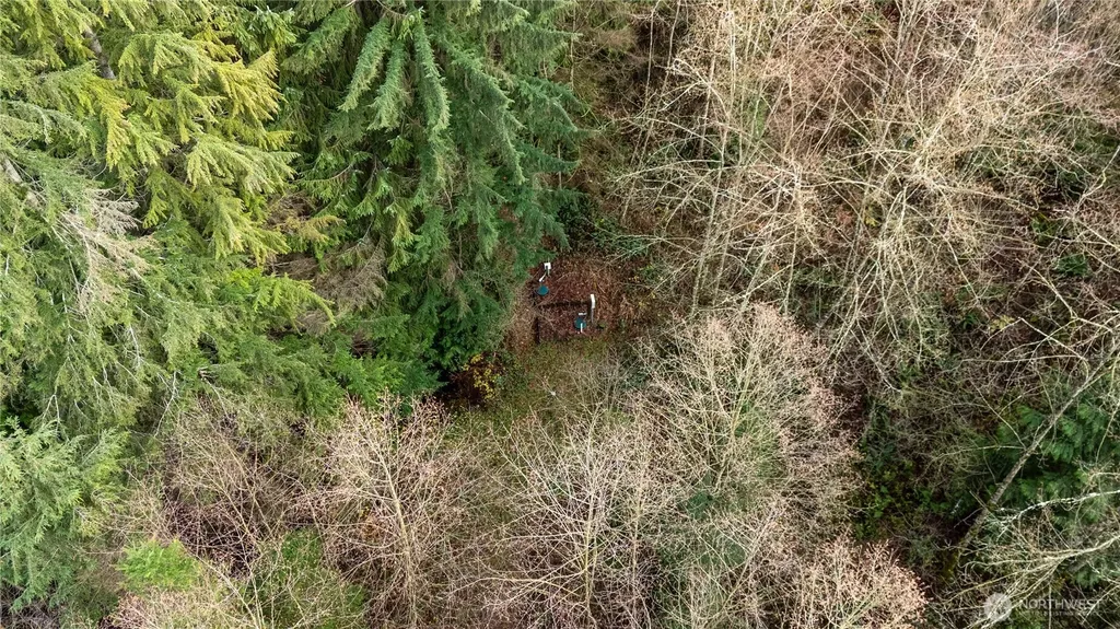2031 Camber Lane Blaine WA 98230