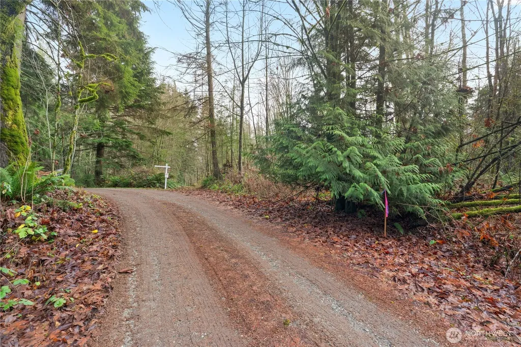 2031 Camber Lane Blaine WA 98230