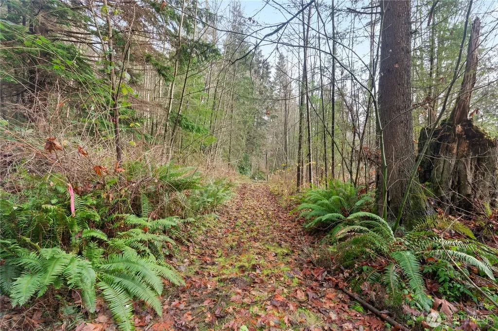 2031 Camber Lane Blaine WA 98230