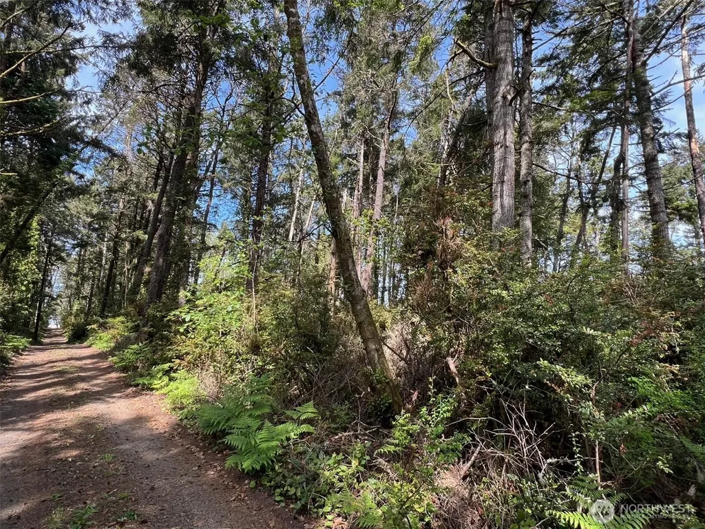 1101 E 231st Lane Ocean Park WA 98640