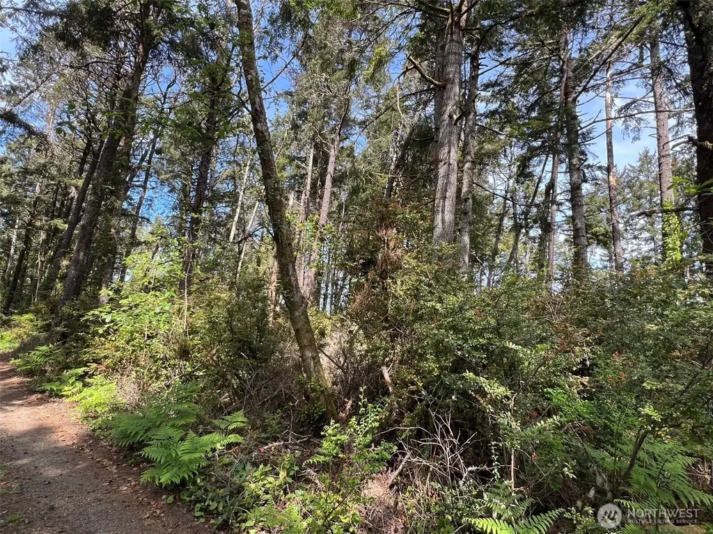 1101 E 231st Lane Ocean Park WA 98640