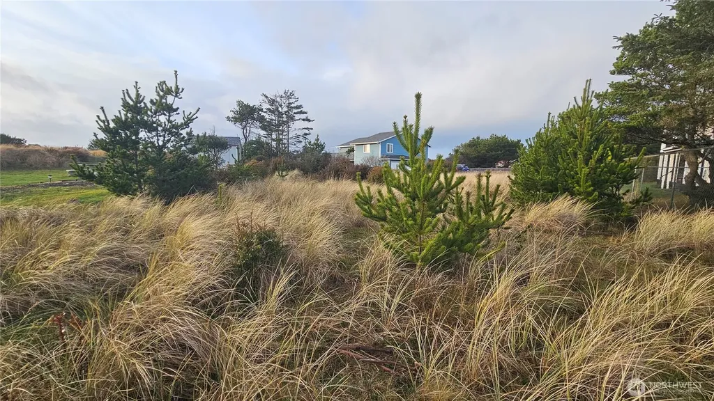 505 347th Place Ocean Park WA 98640