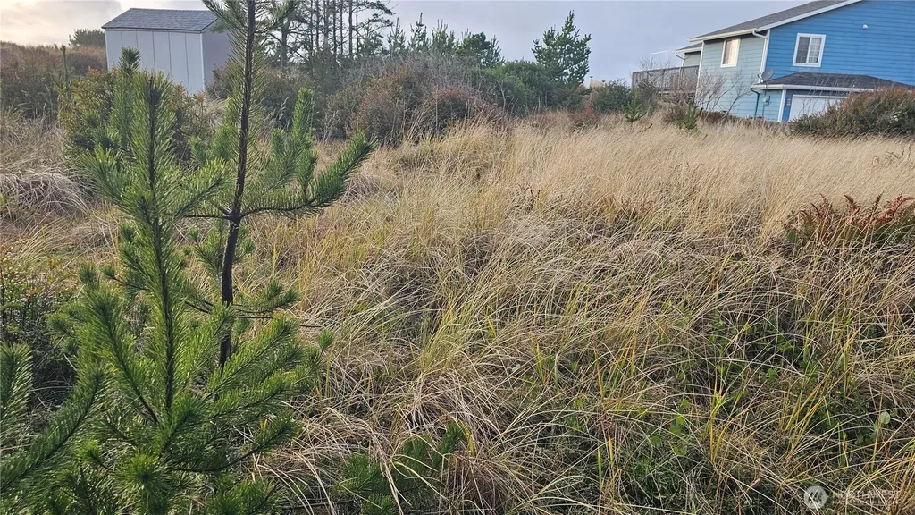 505 347th Place Ocean Park WA 98640