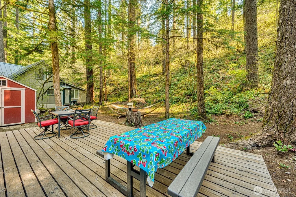 141 Northwoods Cabin Cougar WA 98616