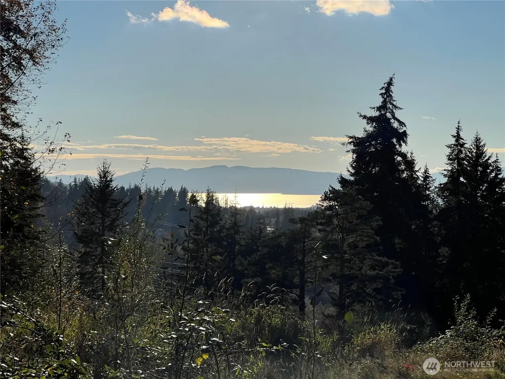 4121 Malachite Drive Bellingham WA 98226