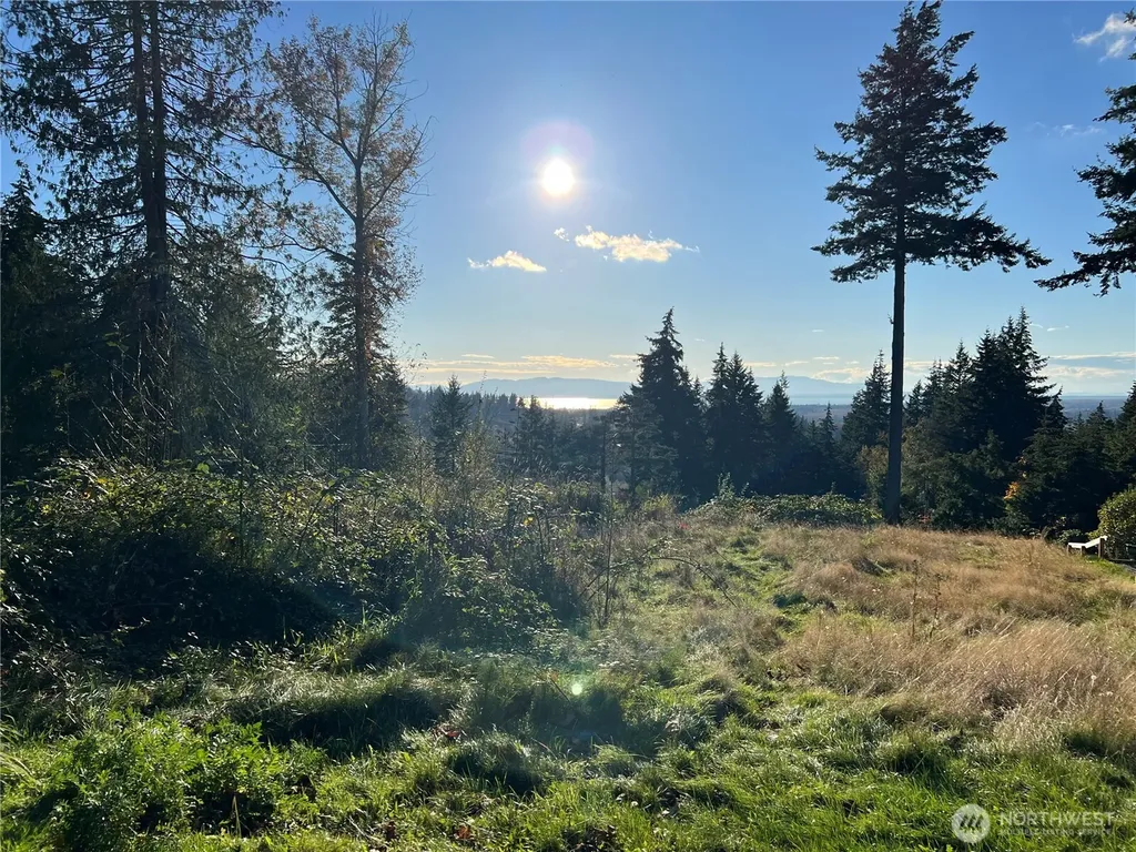 4121 Malachite Drive Bellingham WA 98226