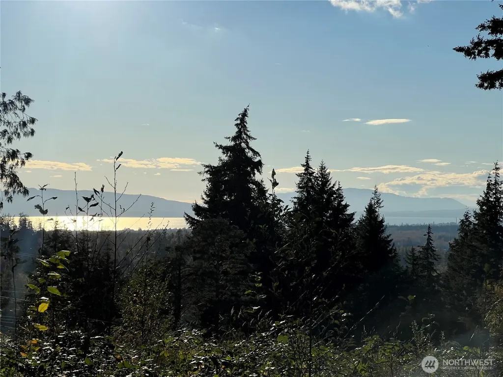 4121 Malachite Drive Bellingham WA 98226