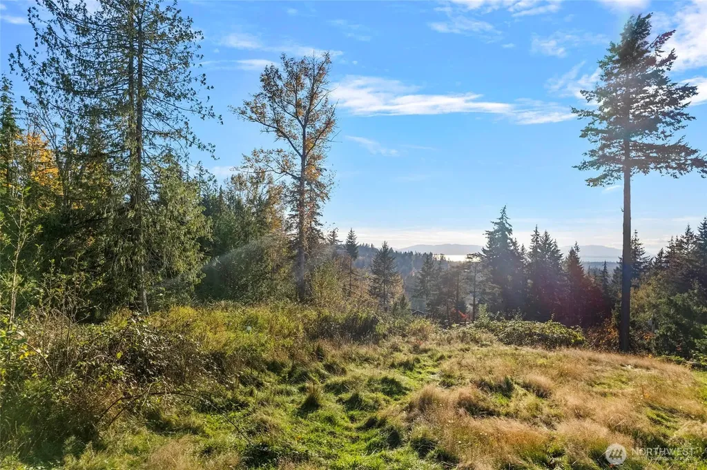 4121 Malachite Drive Bellingham WA 98226