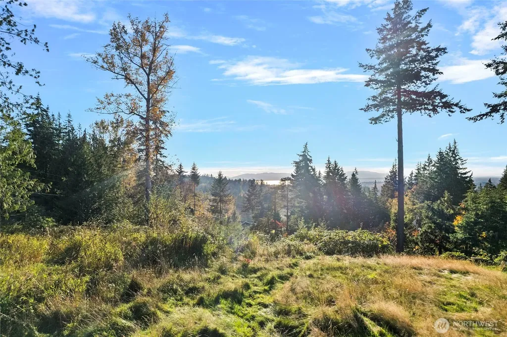 4121 Malachite Drive Bellingham WA 98226