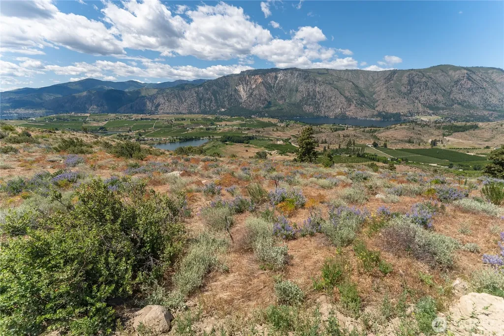 673 Glory View Lane Manson WA 98831