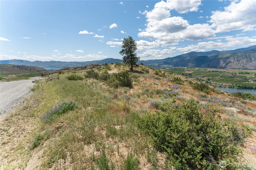 673 Glory View Lane Manson WA 98831