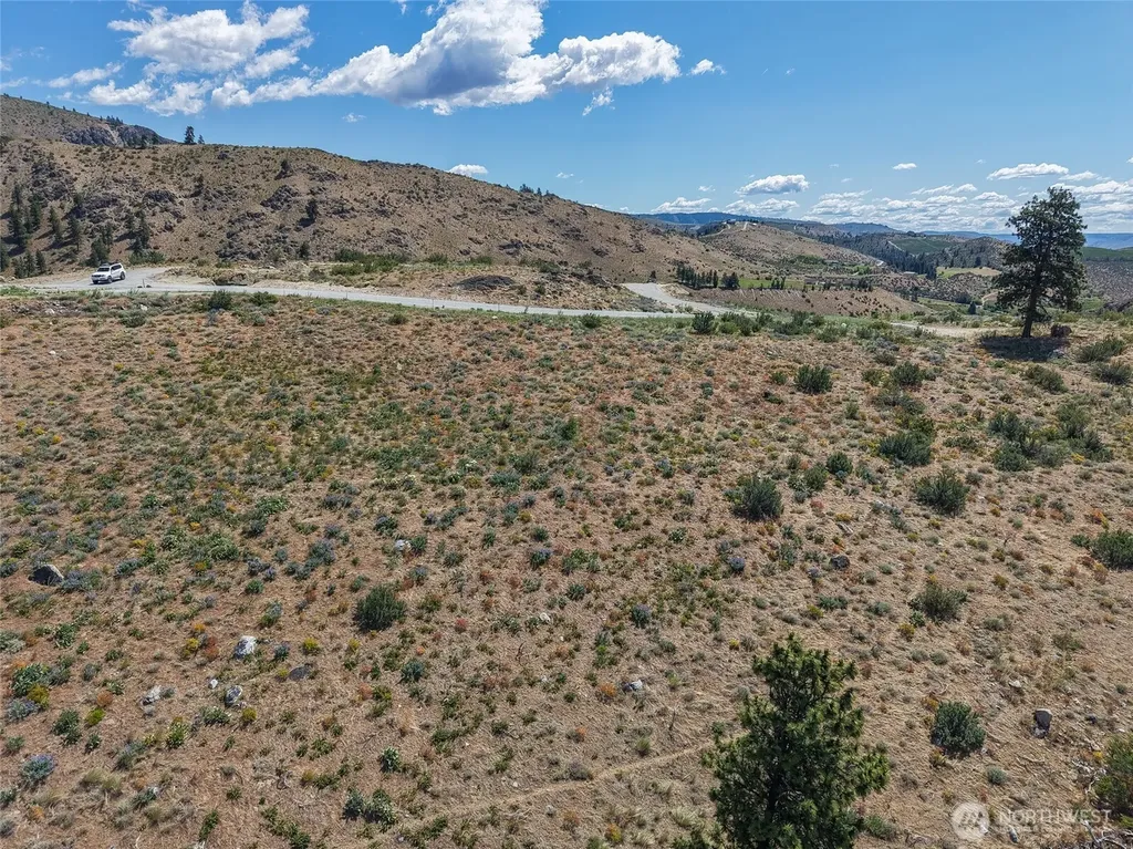 673 Glory View Lane Manson WA 98831