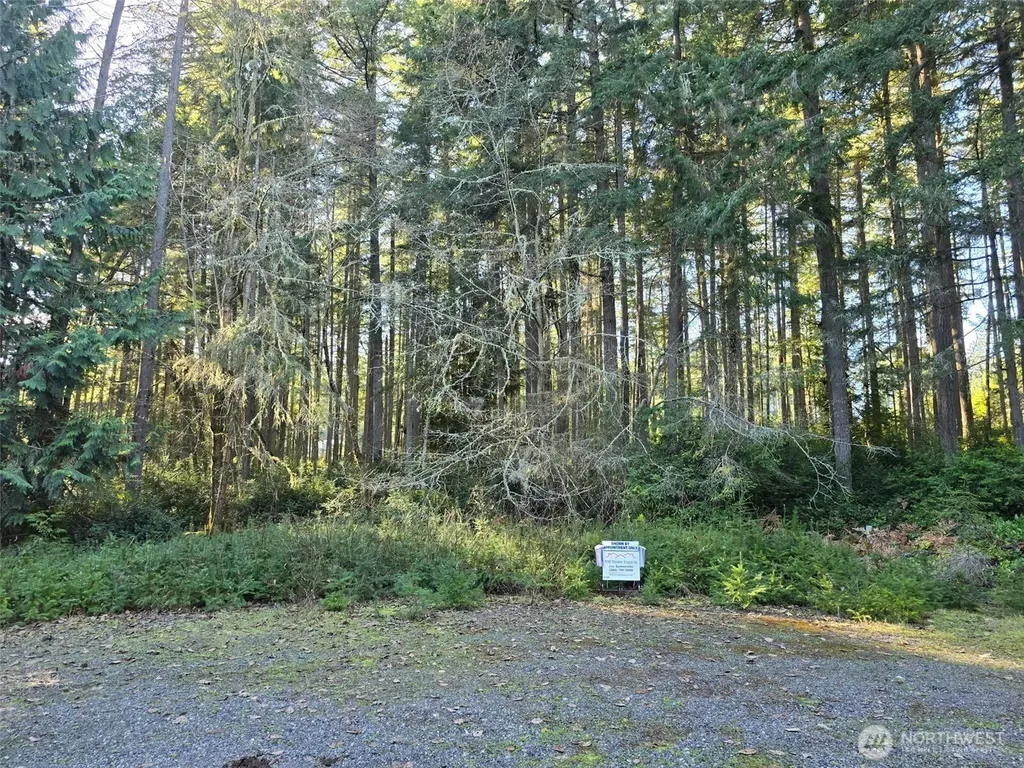 11624 Mill Place Anderson Island WA 98303