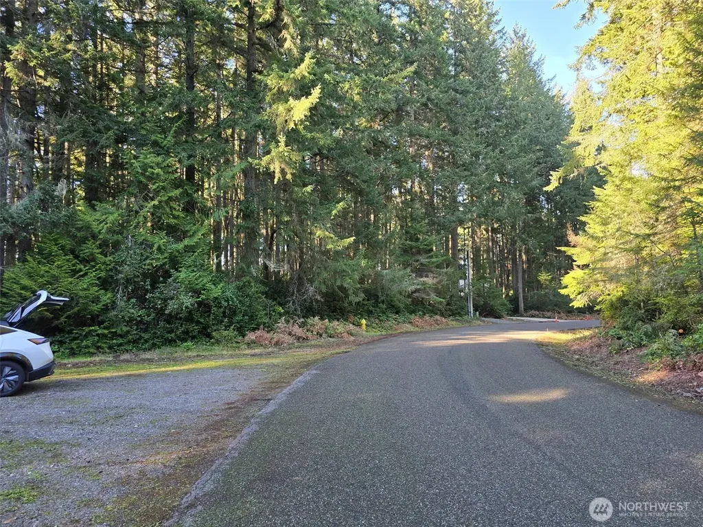 11624 Mill Place Anderson Island WA 98303