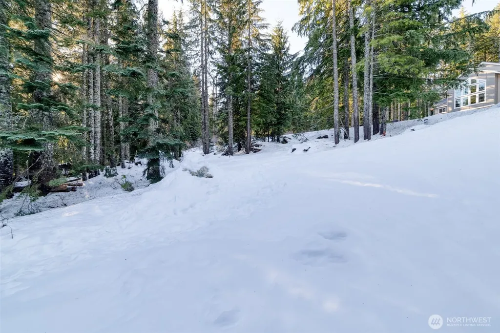 340 Snoqualmie Drive Snoqualmie Pass WA 98068