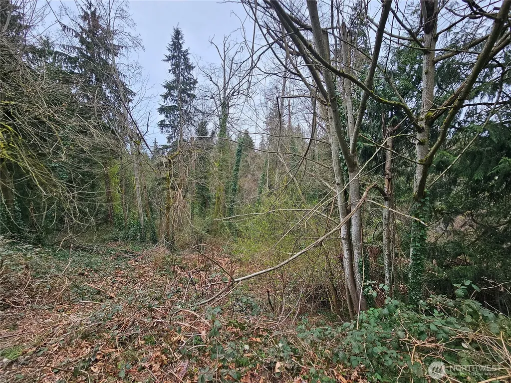 194 Xx Forest Park Drive NE Lake Forest Park WA 98155