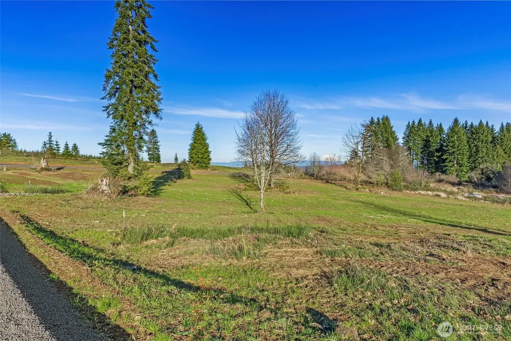239 Suncrest Drive Castle Rock WA 98611