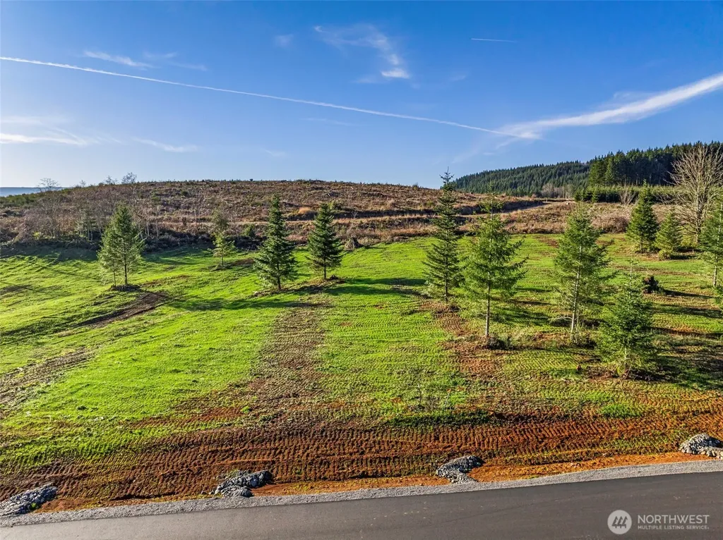 232 Suncrest Drive Castle Rock WA 98611