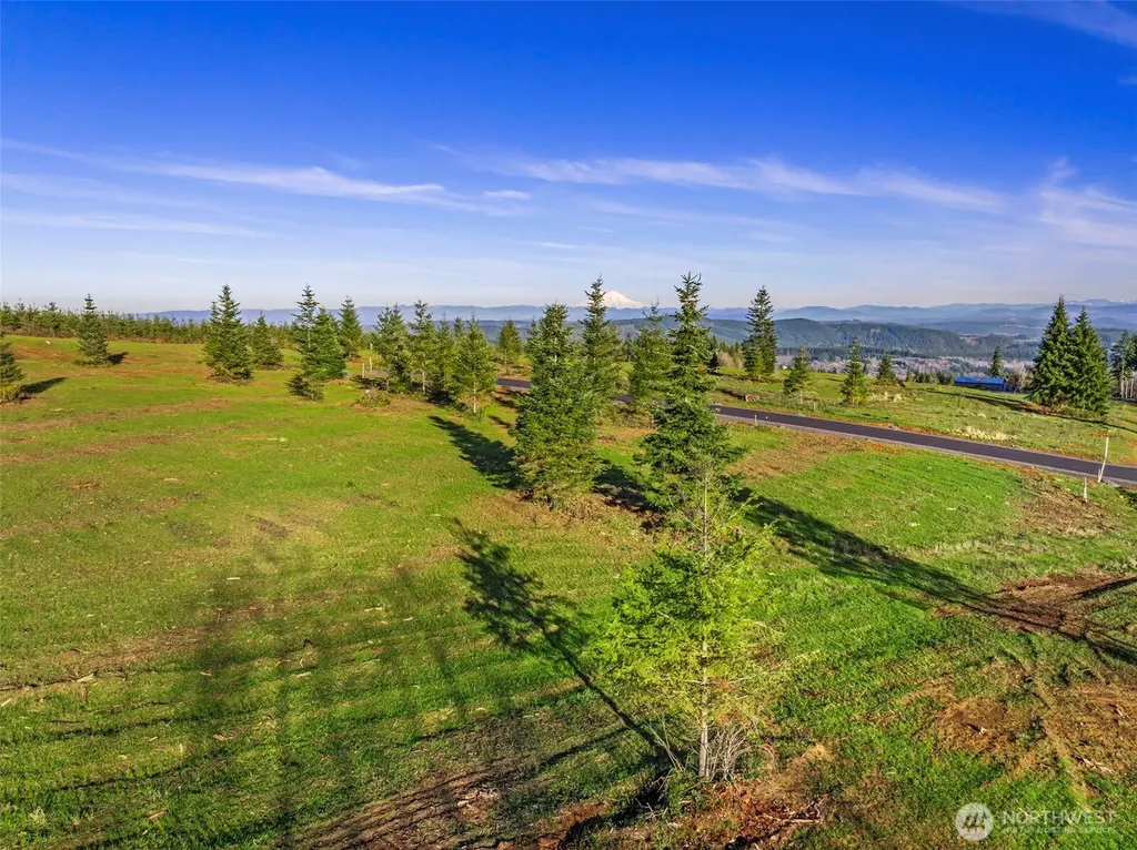 232 Suncrest Drive Castle Rock WA 98611