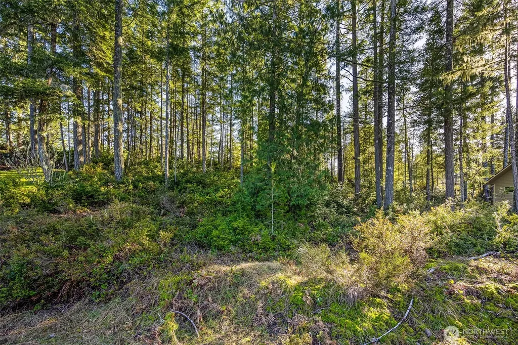 140 E Westwood Lane E Union WA 98592