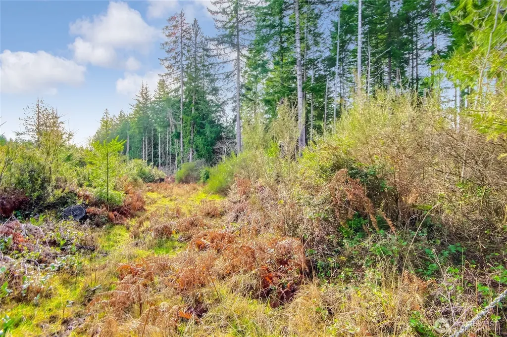1 E Jared Road Shelton WA 98584