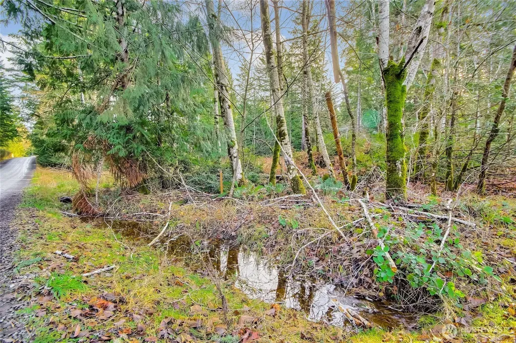 1 E Jared Road Shelton WA 98584