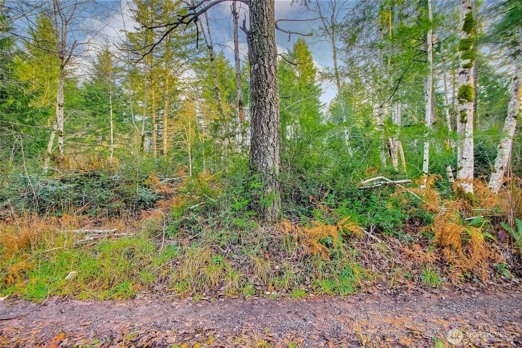 1 E Jared Road Shelton WA 98584