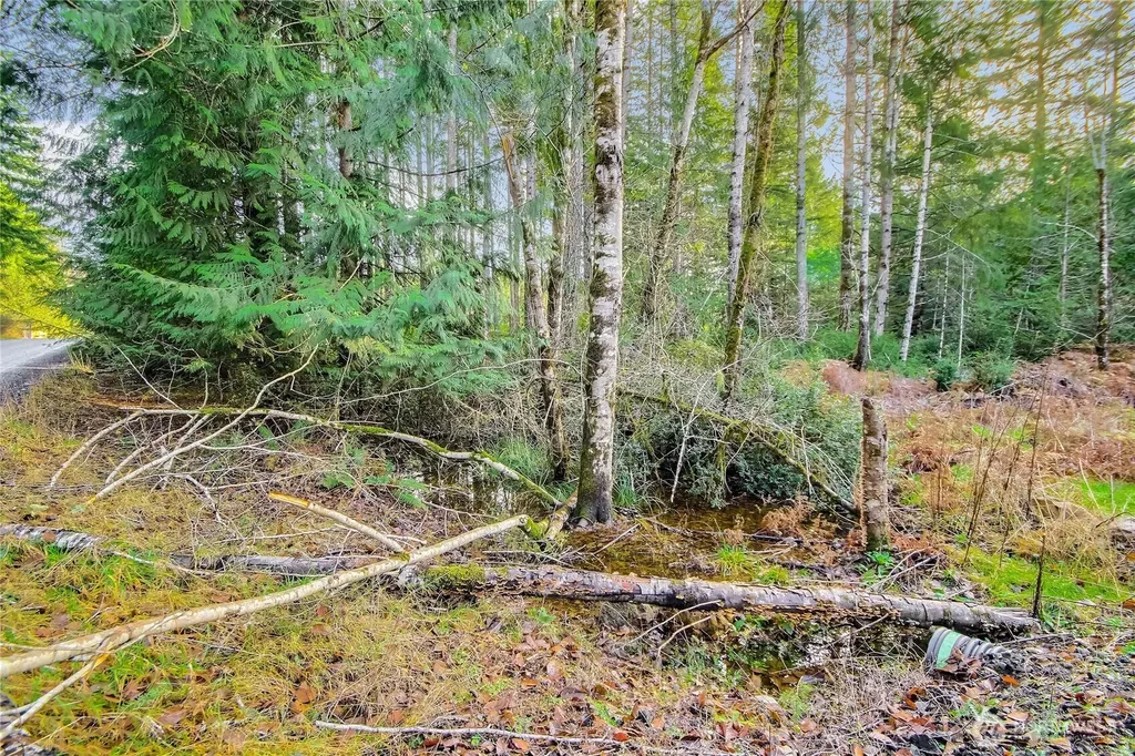 1 E Jared Road Shelton WA 98584