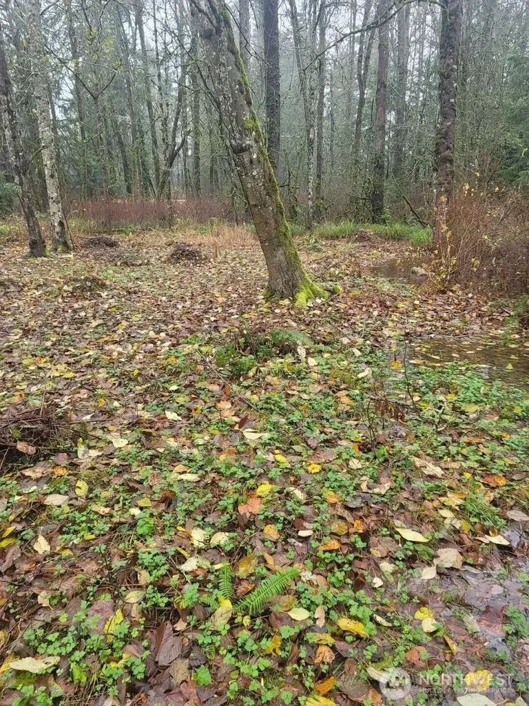 35750 Military Road S Auburn WA 98001