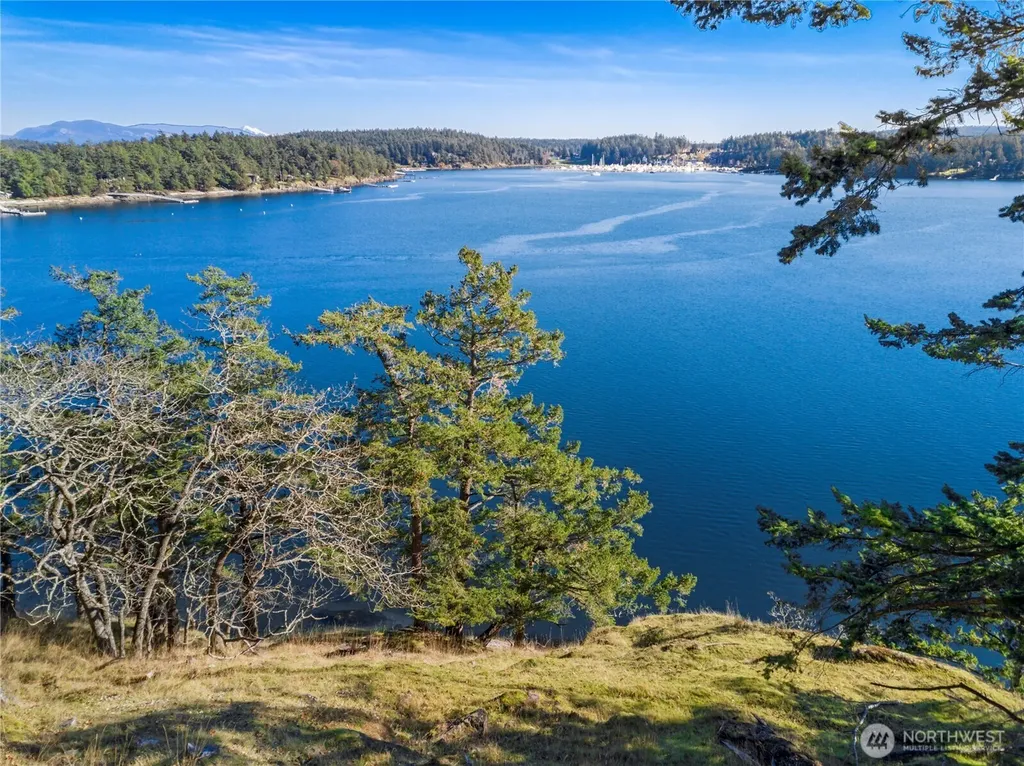 7 Roche Harbor Shores San Juan Island WA 98250