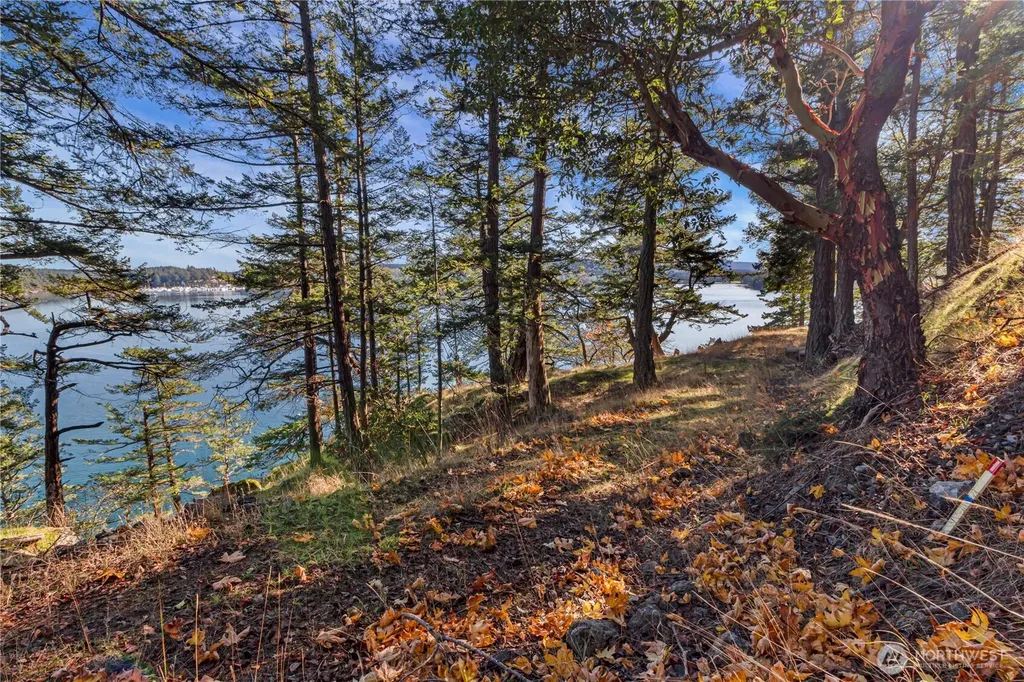 7 Roche Harbor Shores San Juan Island WA 98250