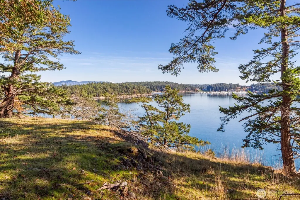 7 Roche Harbor Shores San Juan Island WA 98250