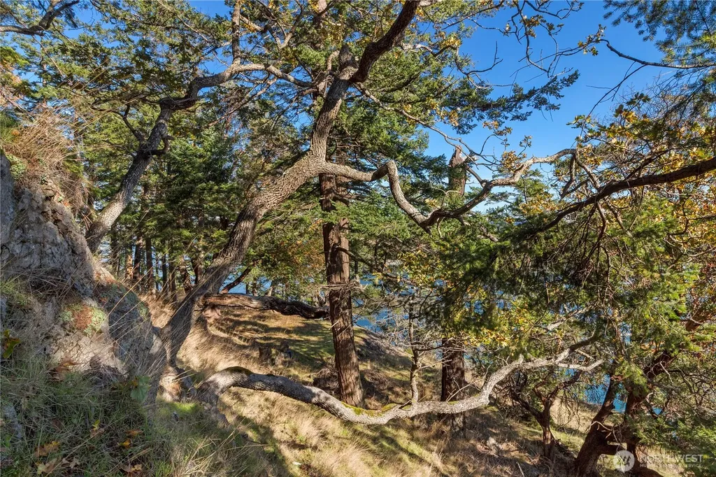 7 Roche Harbor Shores San Juan Island WA 98250