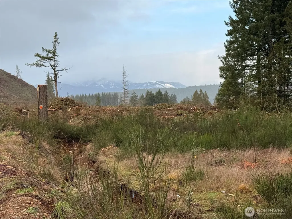 1 West California Road Shelton WA 98584