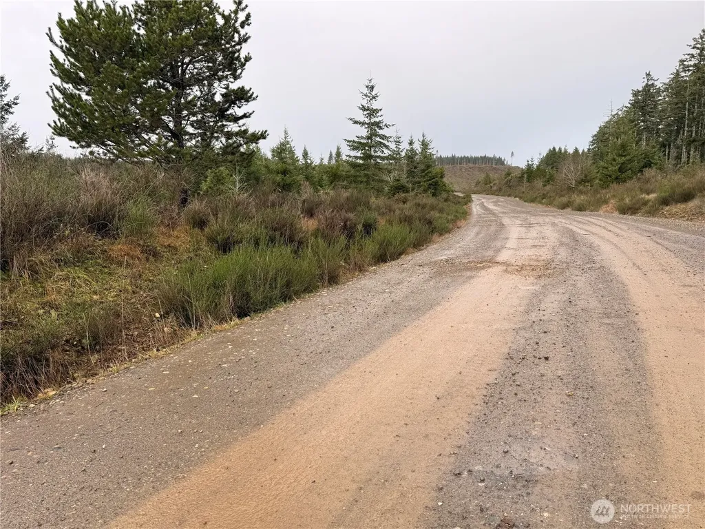 1 West California Road Shelton WA 98584