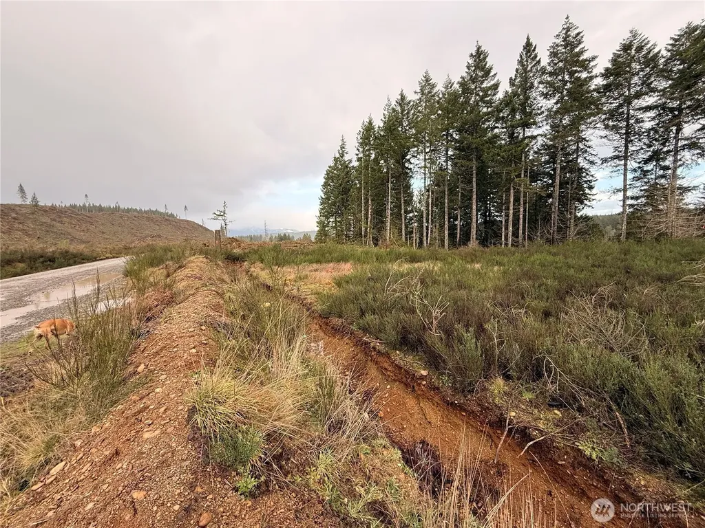 1 West California Road Shelton WA 98584