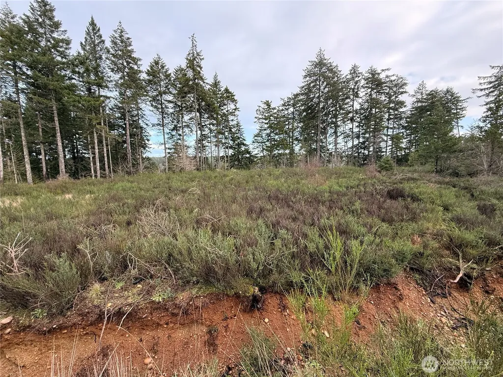 1 West California Road Shelton WA 98584