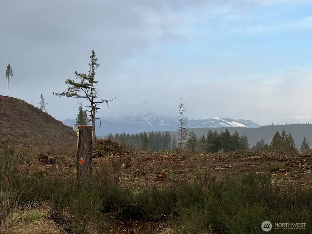 1 West California Road Shelton WA 98584