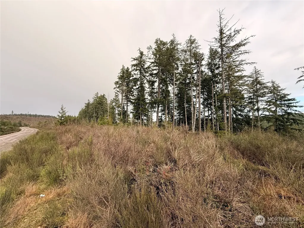 1 West California Road Shelton WA 98584