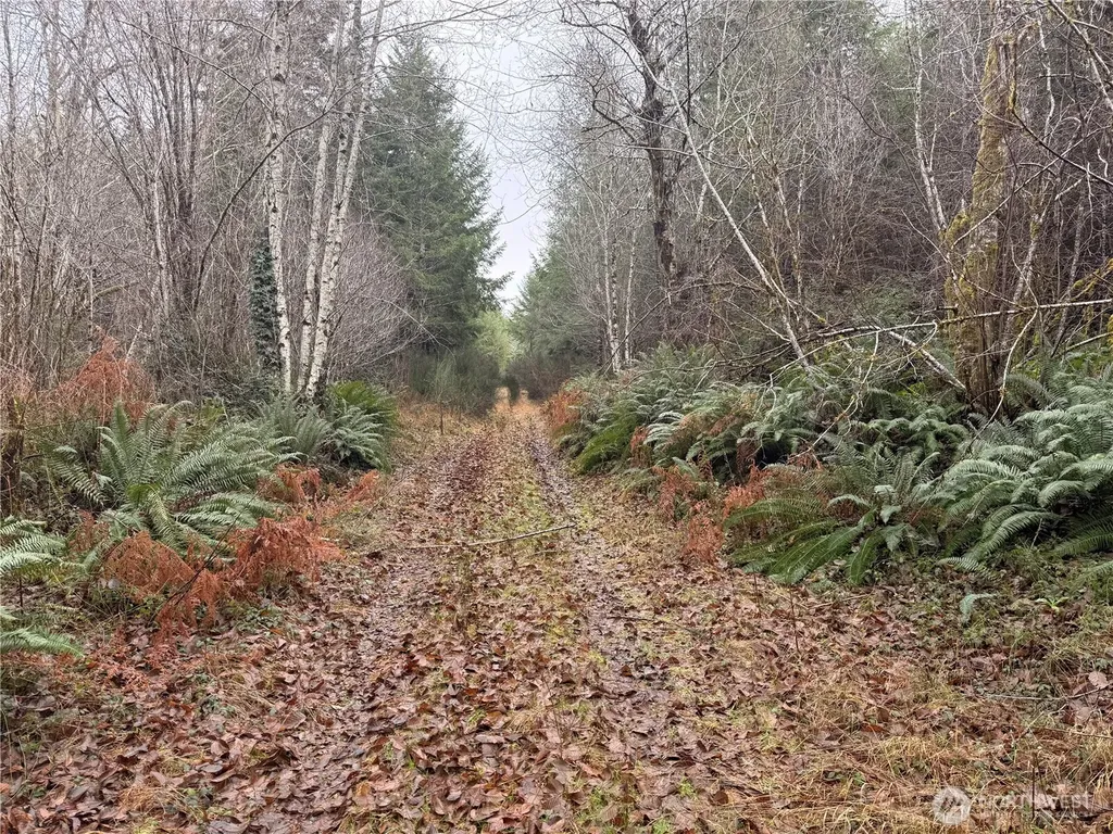 10 E Shetland Road Shelton WA 98584
