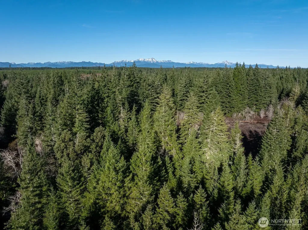 10 E Shetland Road Shelton WA 98584