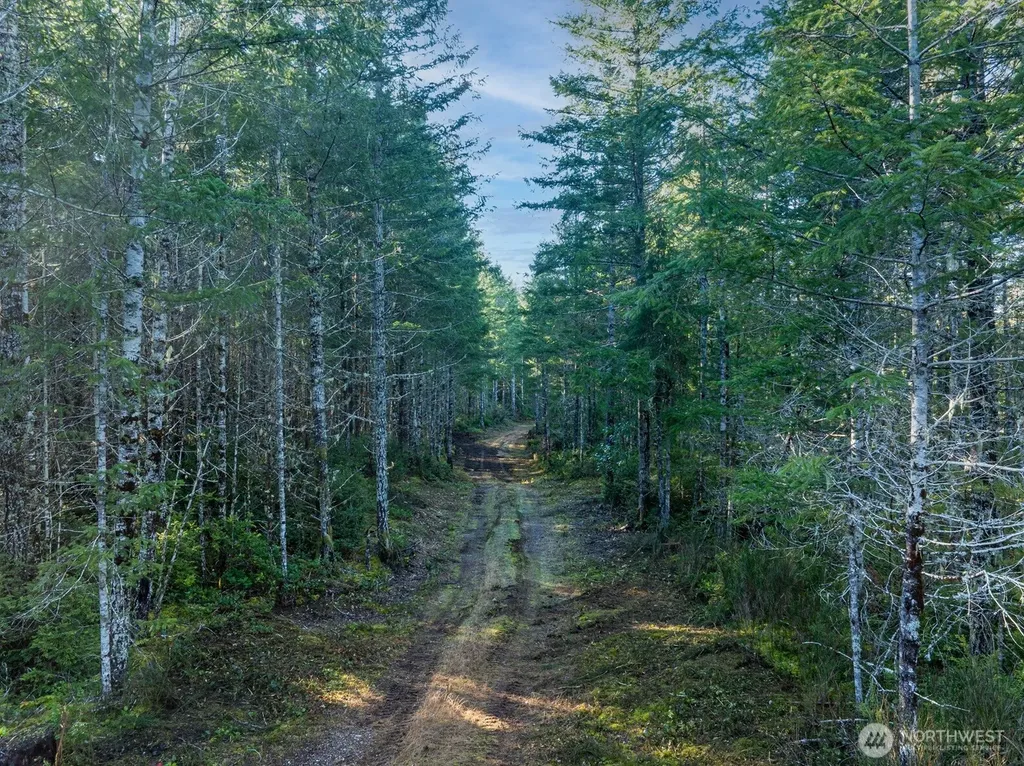 10 E Shetland Road Shelton WA 98584