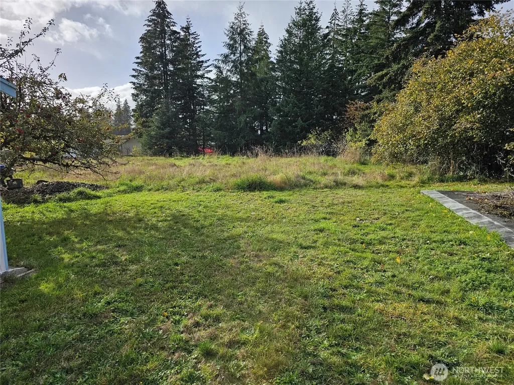 120 S Park Oakville WA 98568