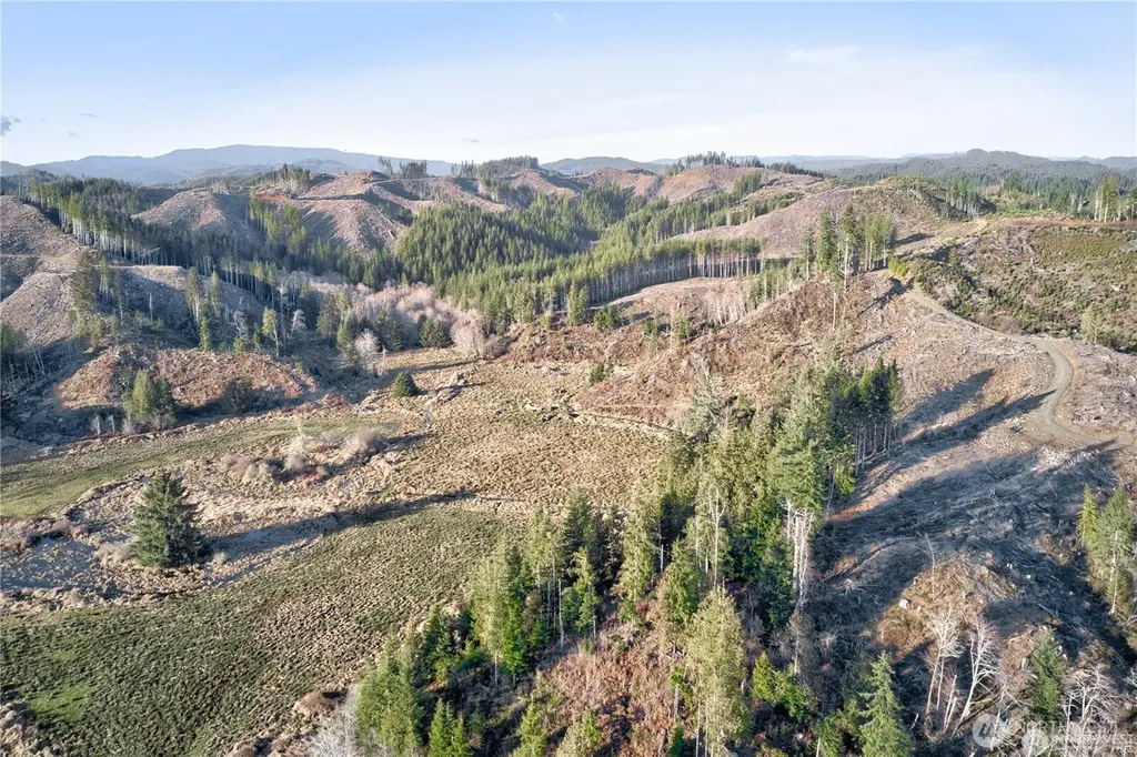 0 W Deep River Road Naselle WA 98638