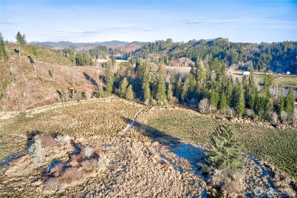 0 W Deep River Road Naselle WA 98638