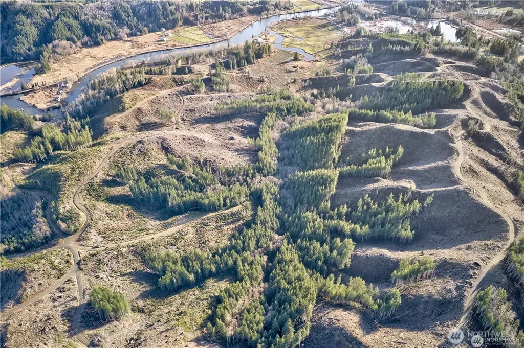 0 W Deep River Road Naselle WA 98638