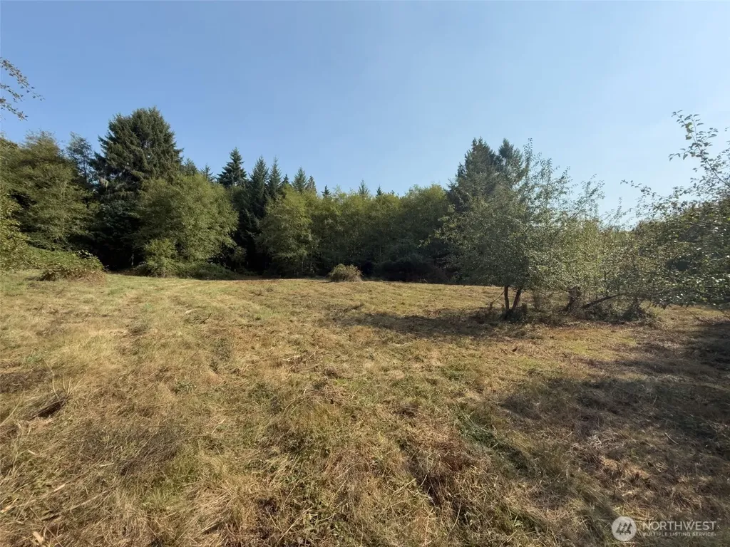 104 Bills Lane Onalaska WA 98570