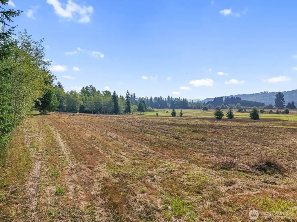 104 Bills Lane Onalaska WA 98570